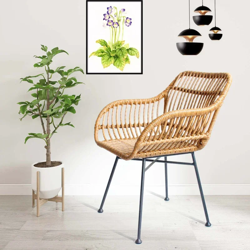 Nordic Dining Chairs for Kitch - Outdoor Furniture Iron ulasan dan harga